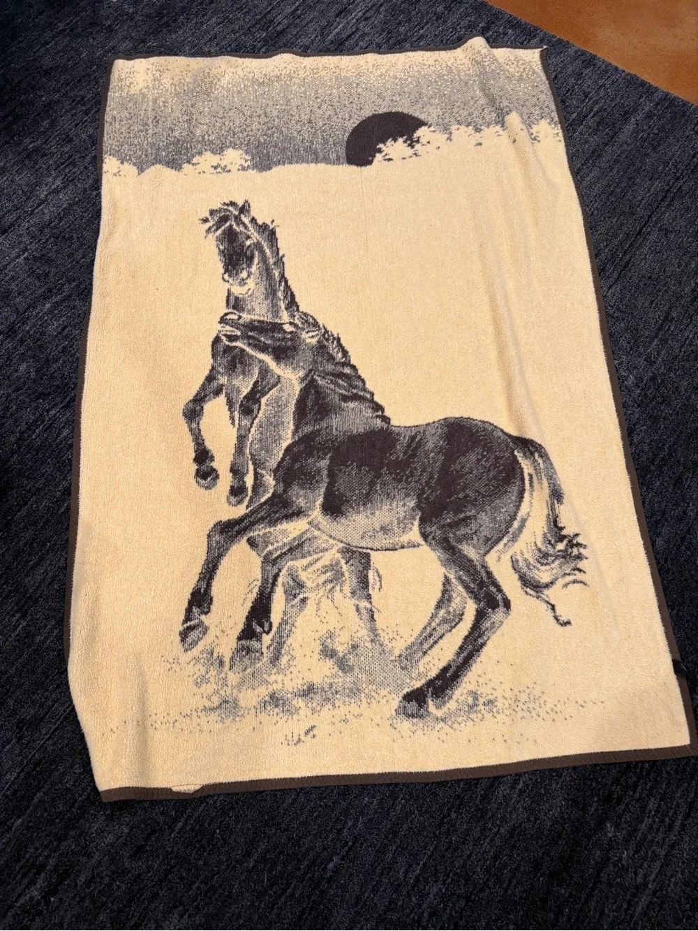 Vintage Reversible Horse Throw Blanket